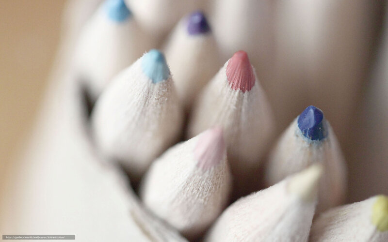 Colored Pencils in Holder — White