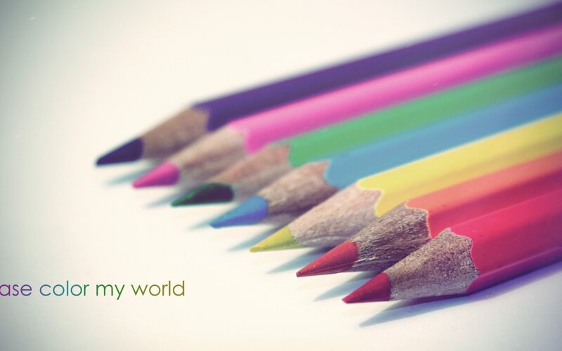 Colored Pencils in Row — White, Calm, Photograph, Text