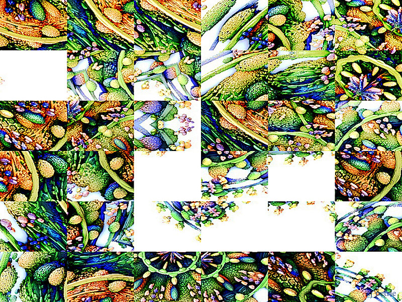 Colored Plant Cells
