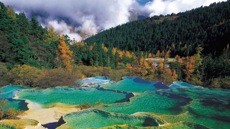 Colored Pools in Forest — Green