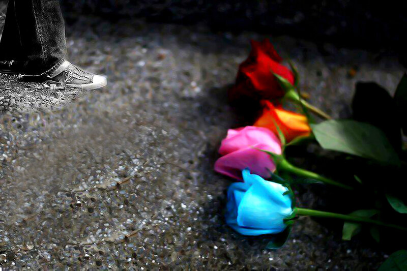 Colored Roses on Ground