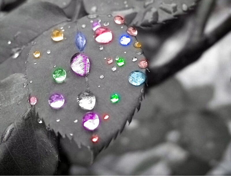 Colored Water Droplets on Leaf