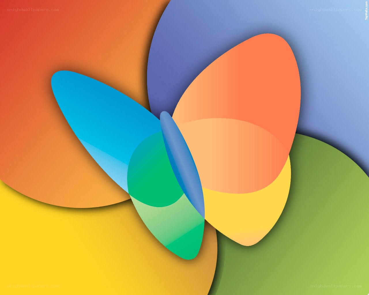 colorful abstract butterfly design