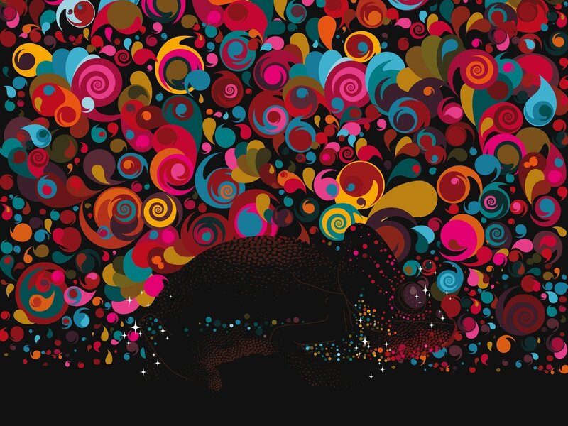 colorful abstract chameleon art