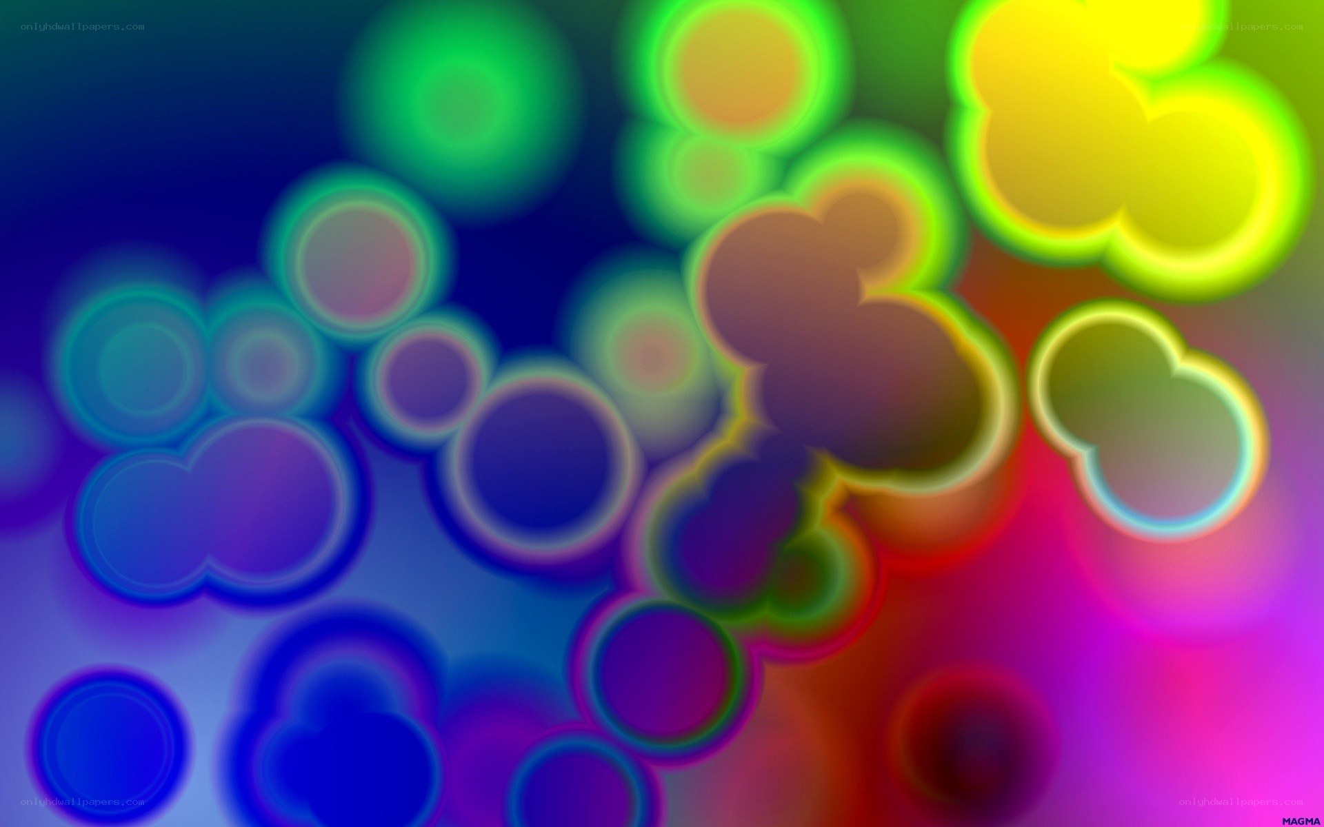 colorful abstract circles
