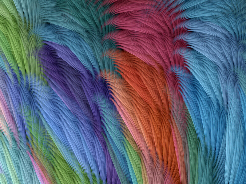 Colorful abstract feather pattern