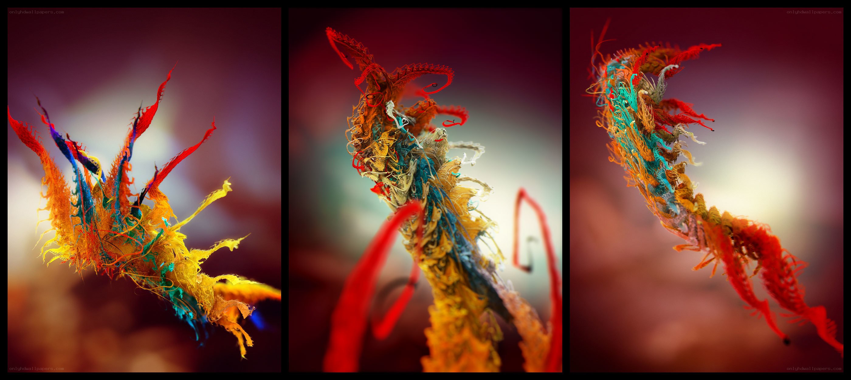 Colorful abstract fiber forms