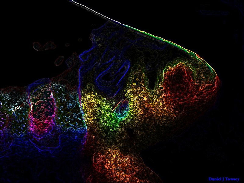 colorful abstract figure