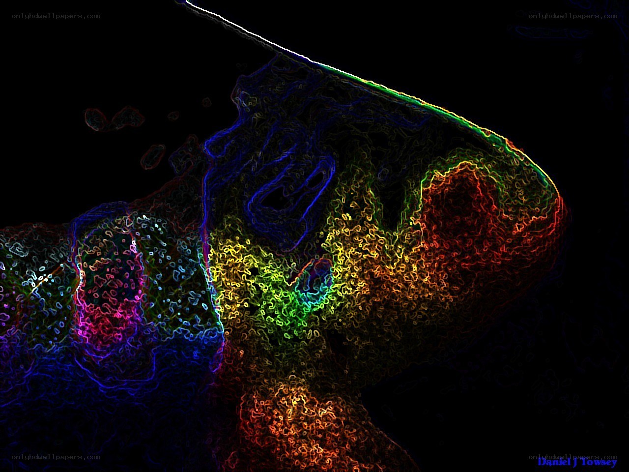 colorful abstract figure
