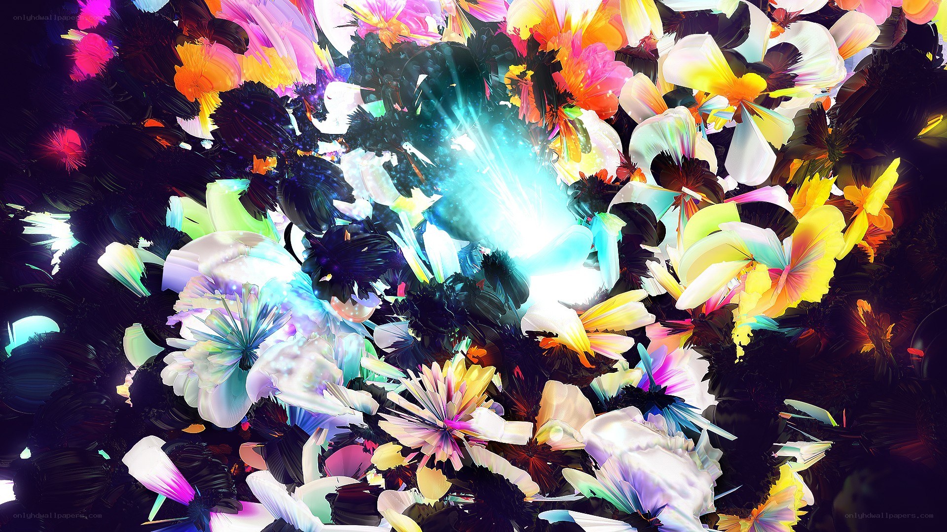 Colorful abstract floral explosion