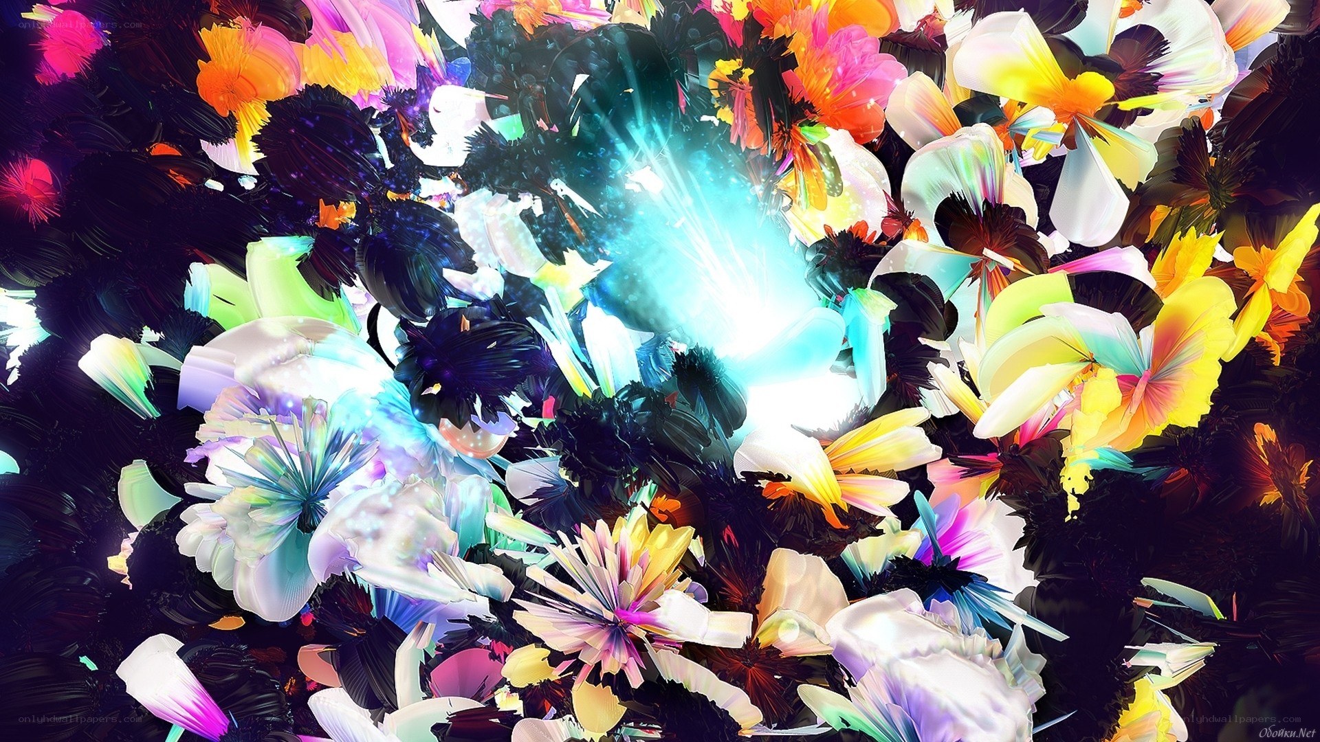 Colorful abstract floral explosion