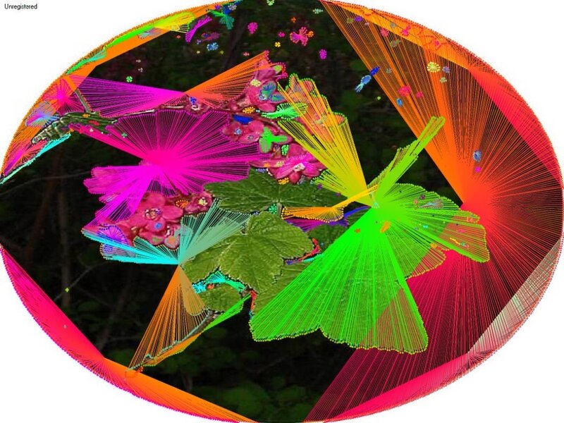 colorful abstract floral pattern