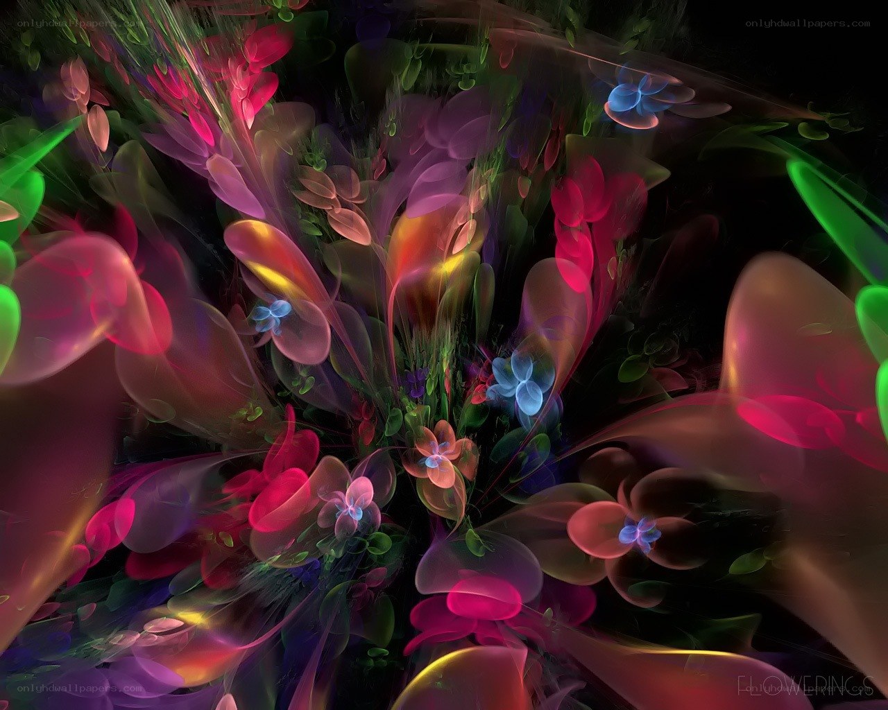 Colorful abstract floral patterns