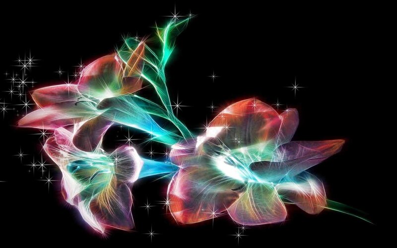 Colorful abstract flower art