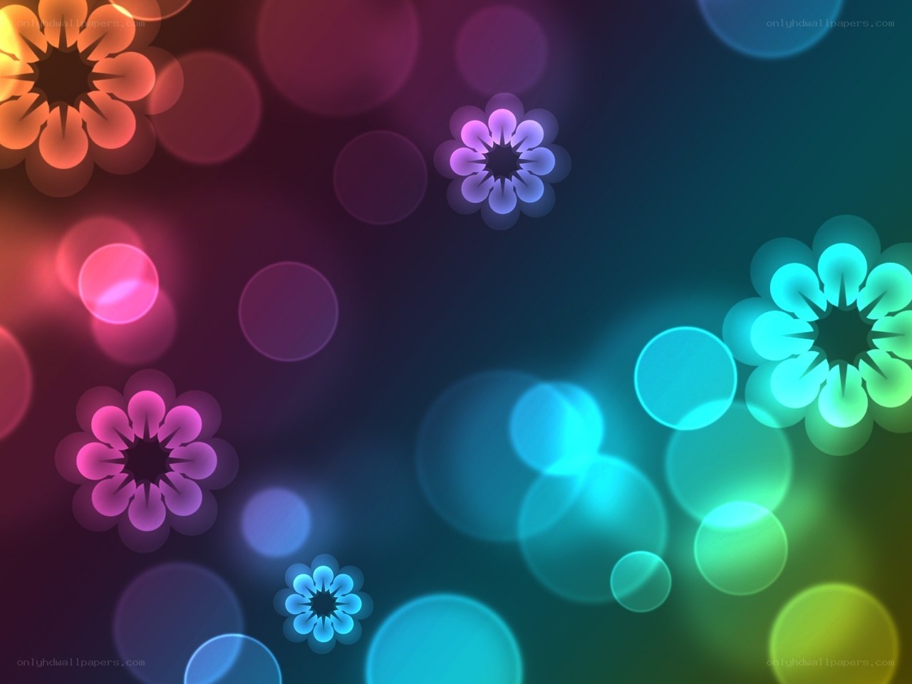 colorful abstract flower background