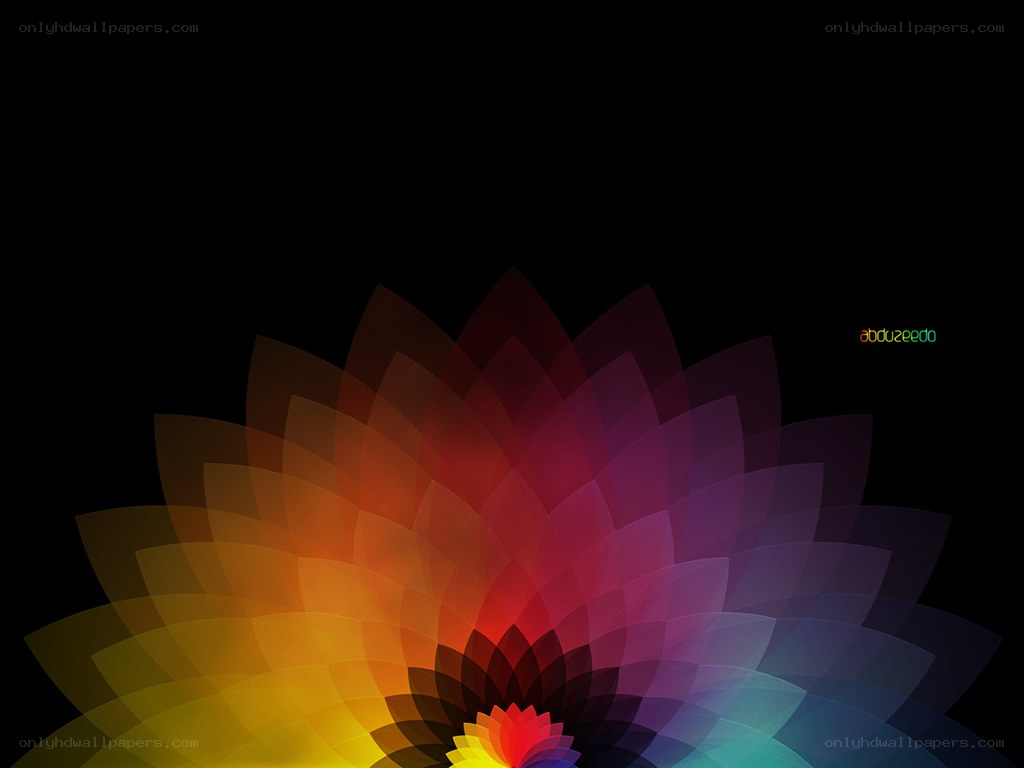Colorful abstract flower design