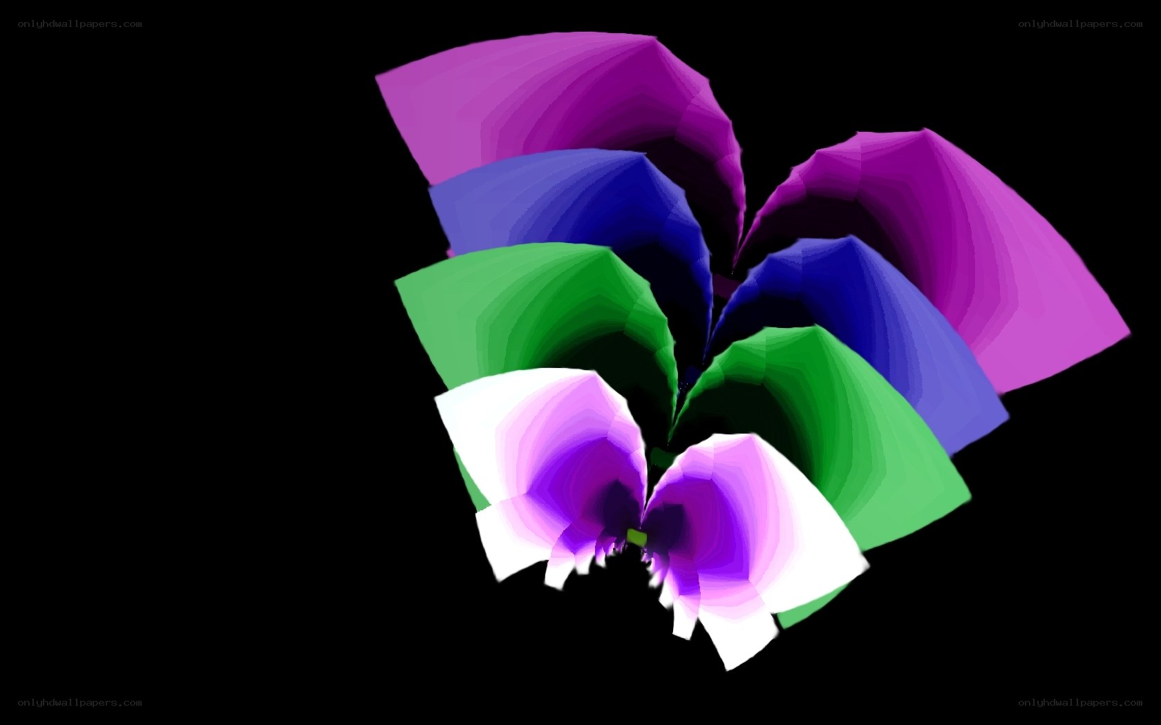 Colorful abstract flower design