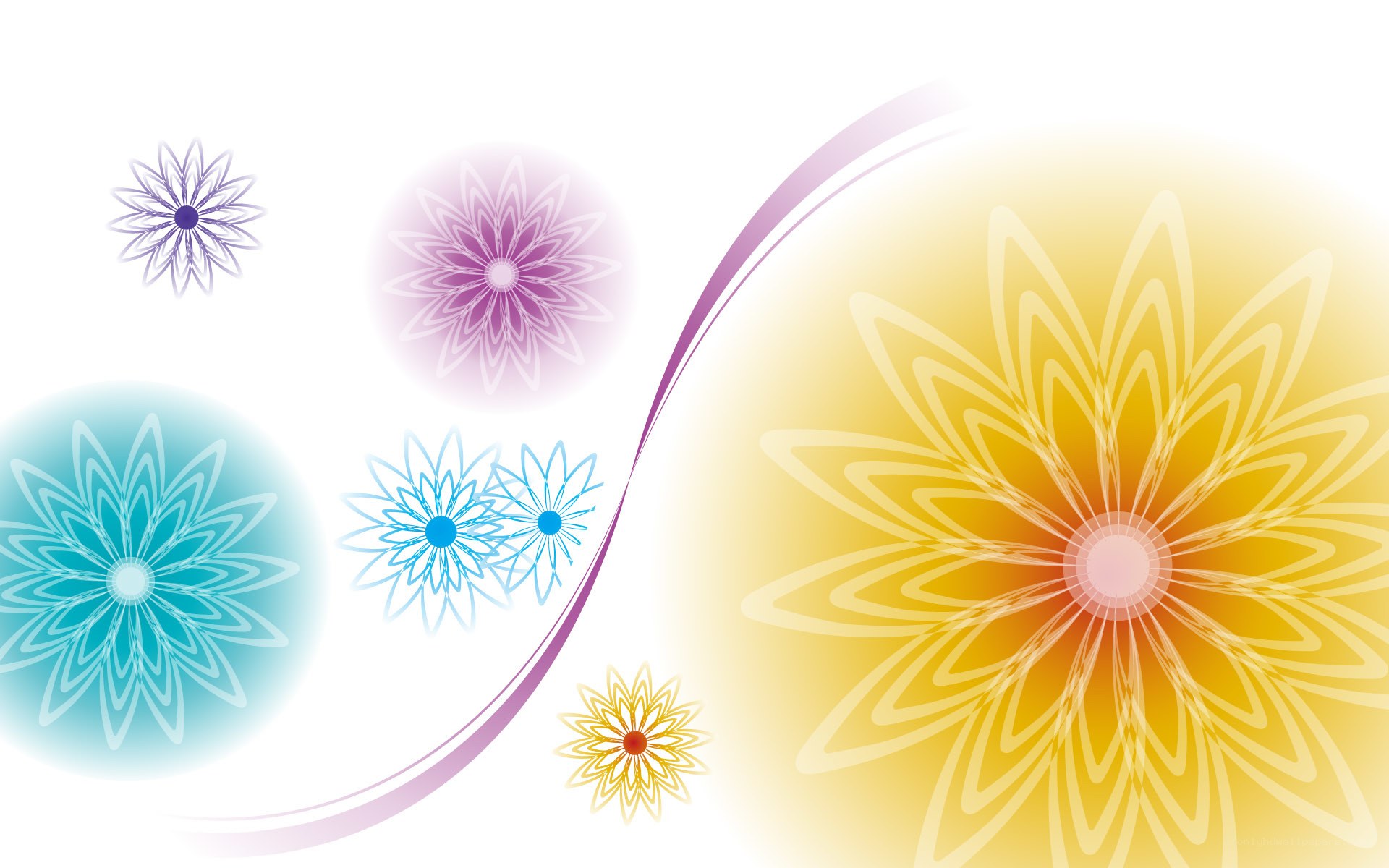 colorful abstract flower design