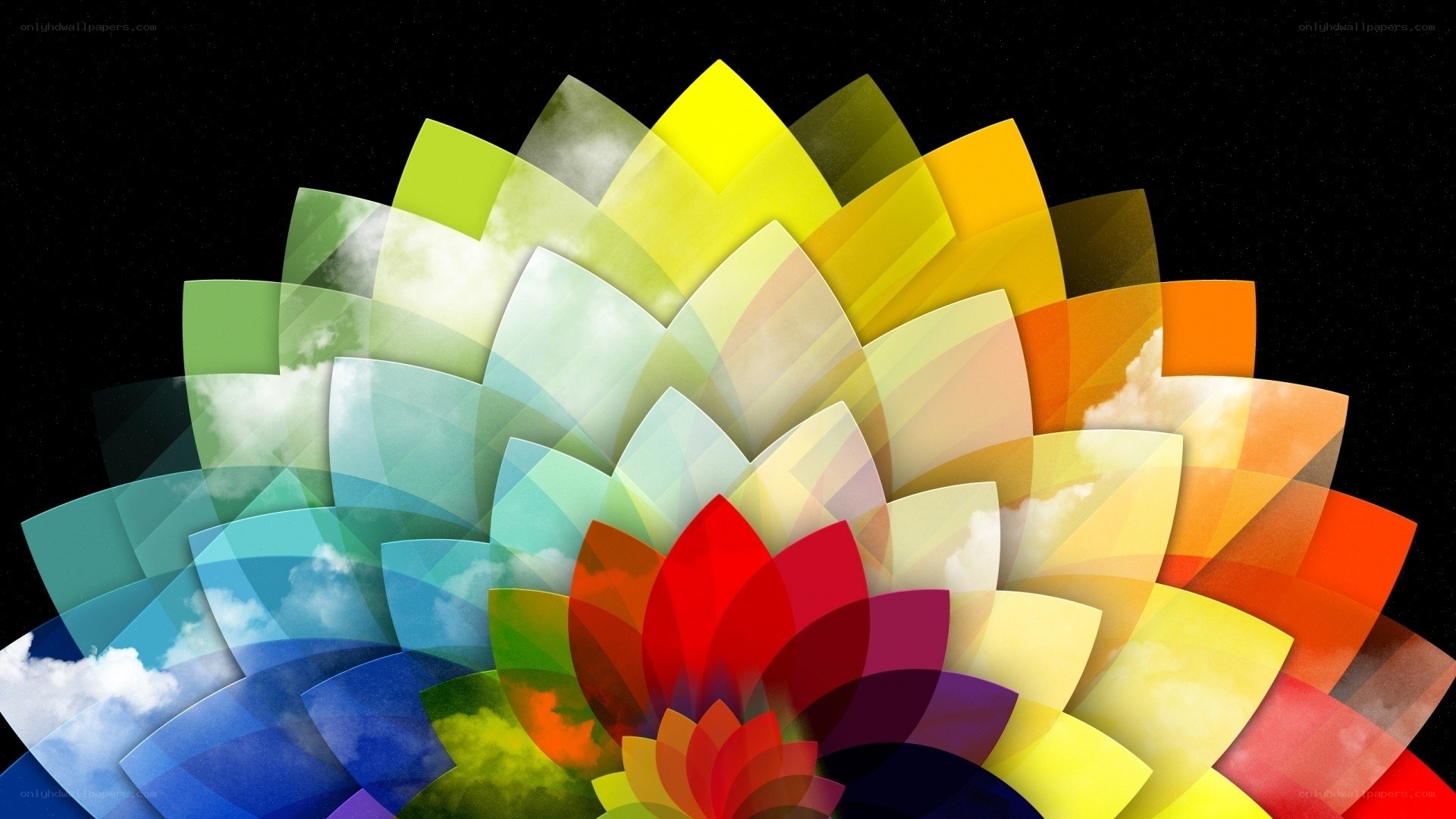 Colorful abstract flower design