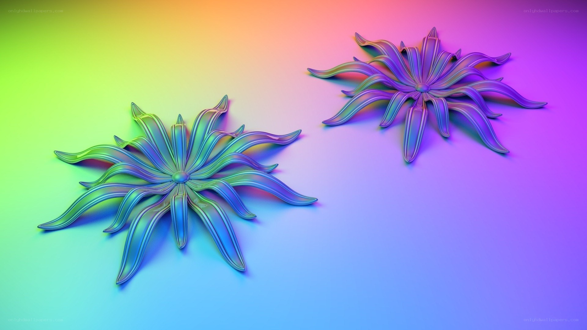 Colorful abstract flower shapes