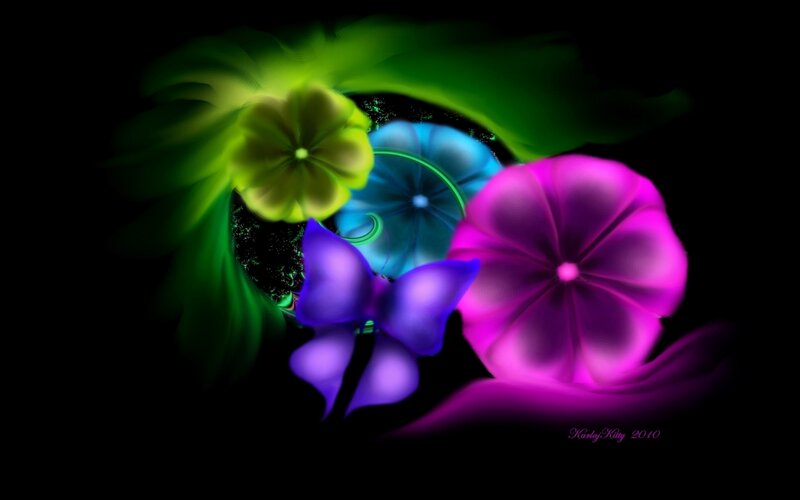 colorful abstract flowers