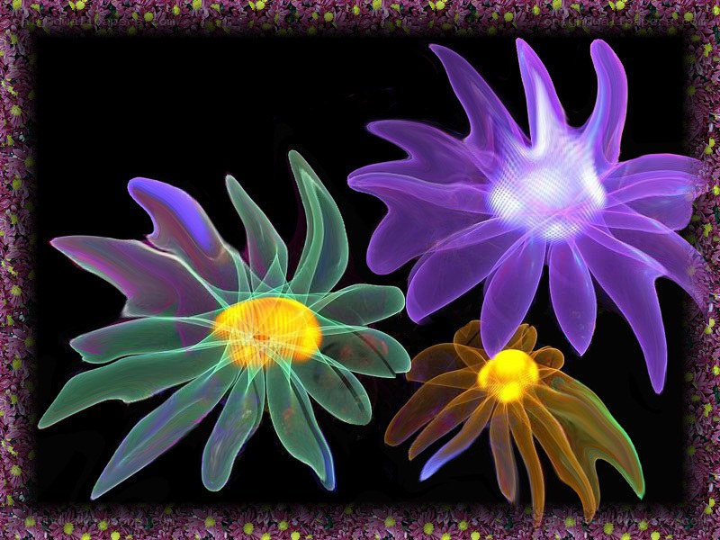 Colorful abstract flowers