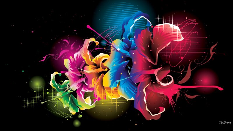 Colorful Abstract Flowers — Black, Vibrant, Digital Art, Splashes, Light Effects