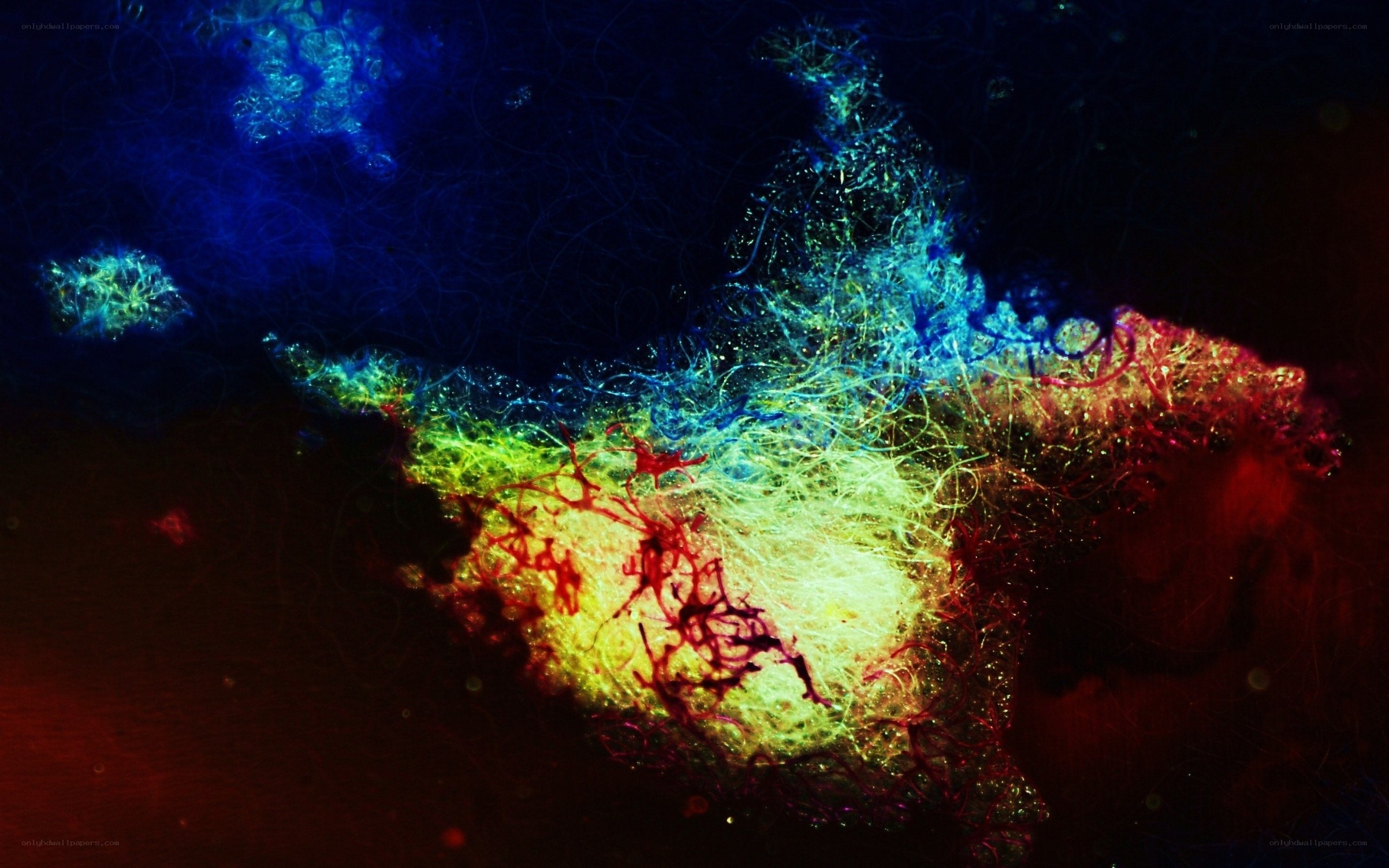 colorful abstract light patterns
