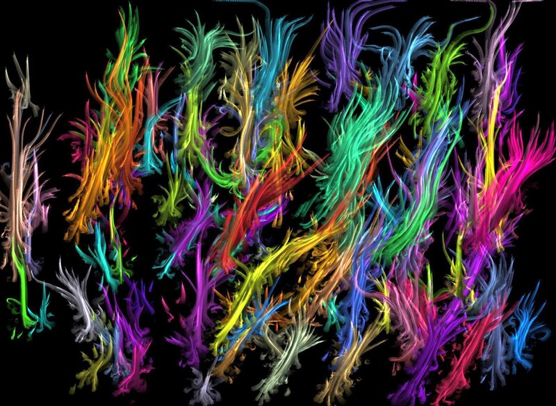 Colorful Abstract Lines — Black, Vibrant