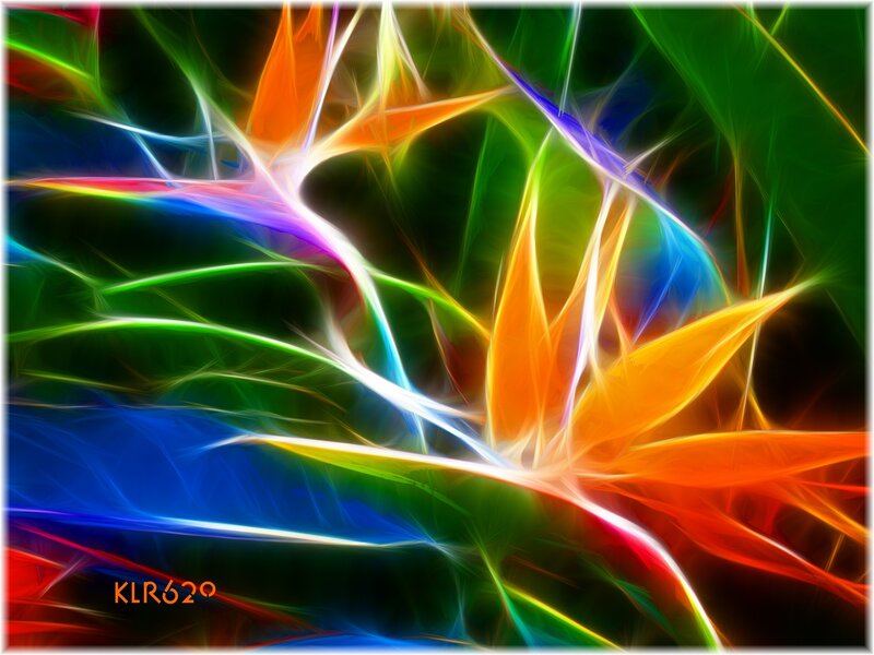 Colorful Abstract Lines — Green, Vibrant, Light