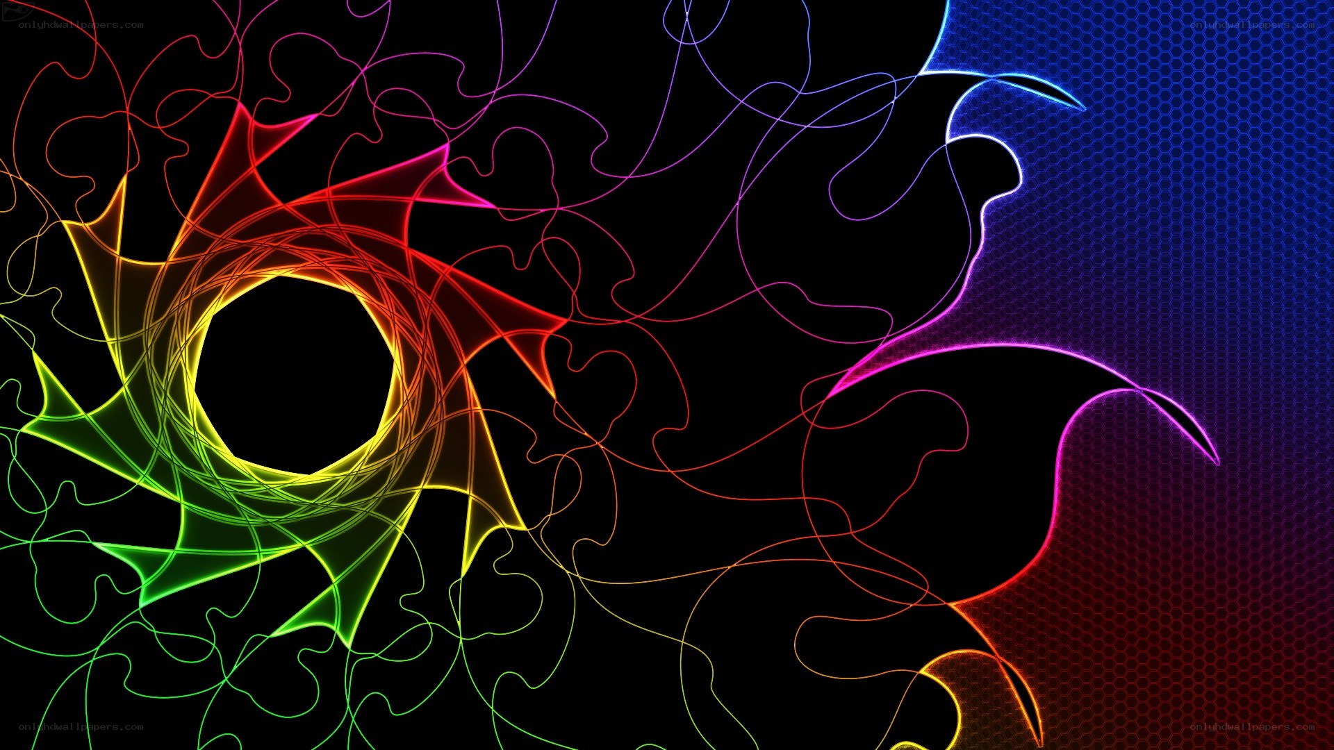 colorful abstract neon lines