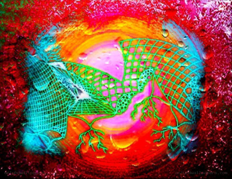 Colorful abstract net pattern
