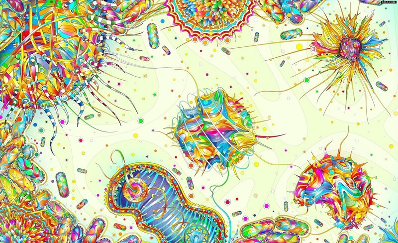 colorful abstract organisms