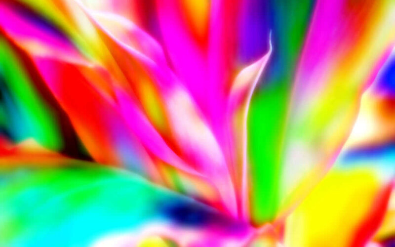 Colorful Abstract Pattern — Pink, Vibrant, Colors, Light, Green