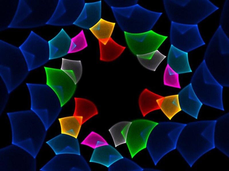 Colorful abstract shapes on black