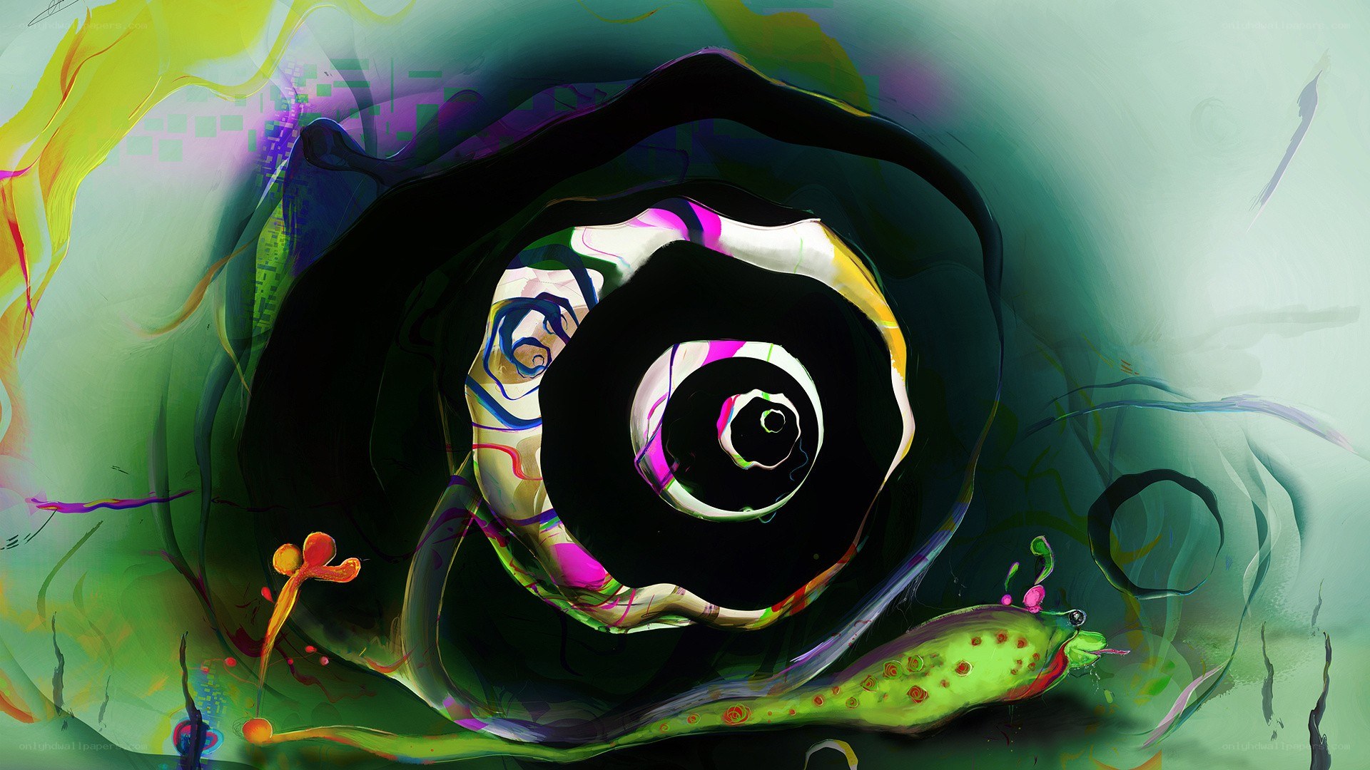 colorful abstract snail art