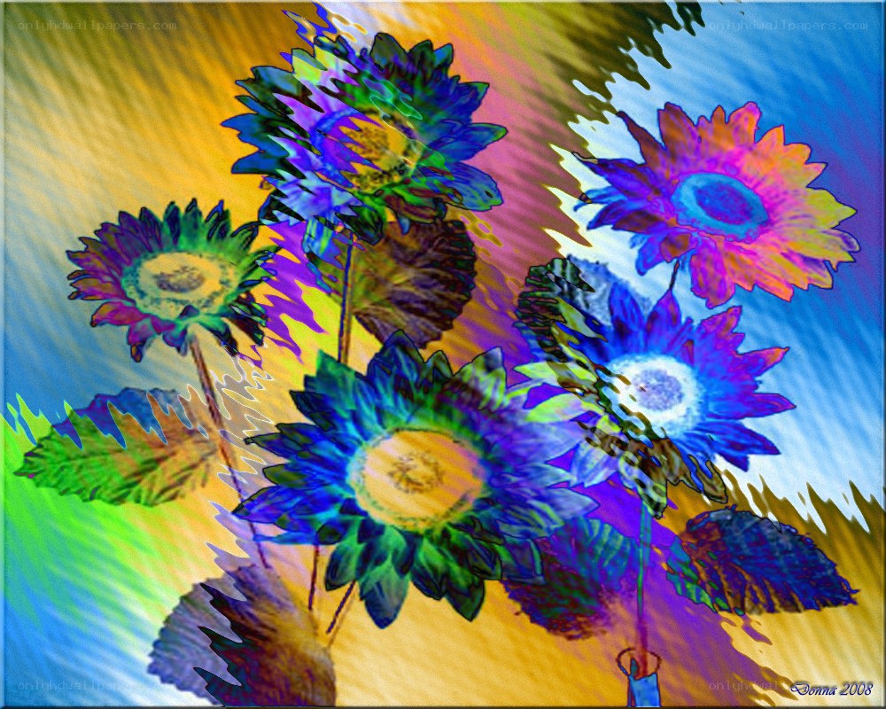 Colorful abstract sunflowers