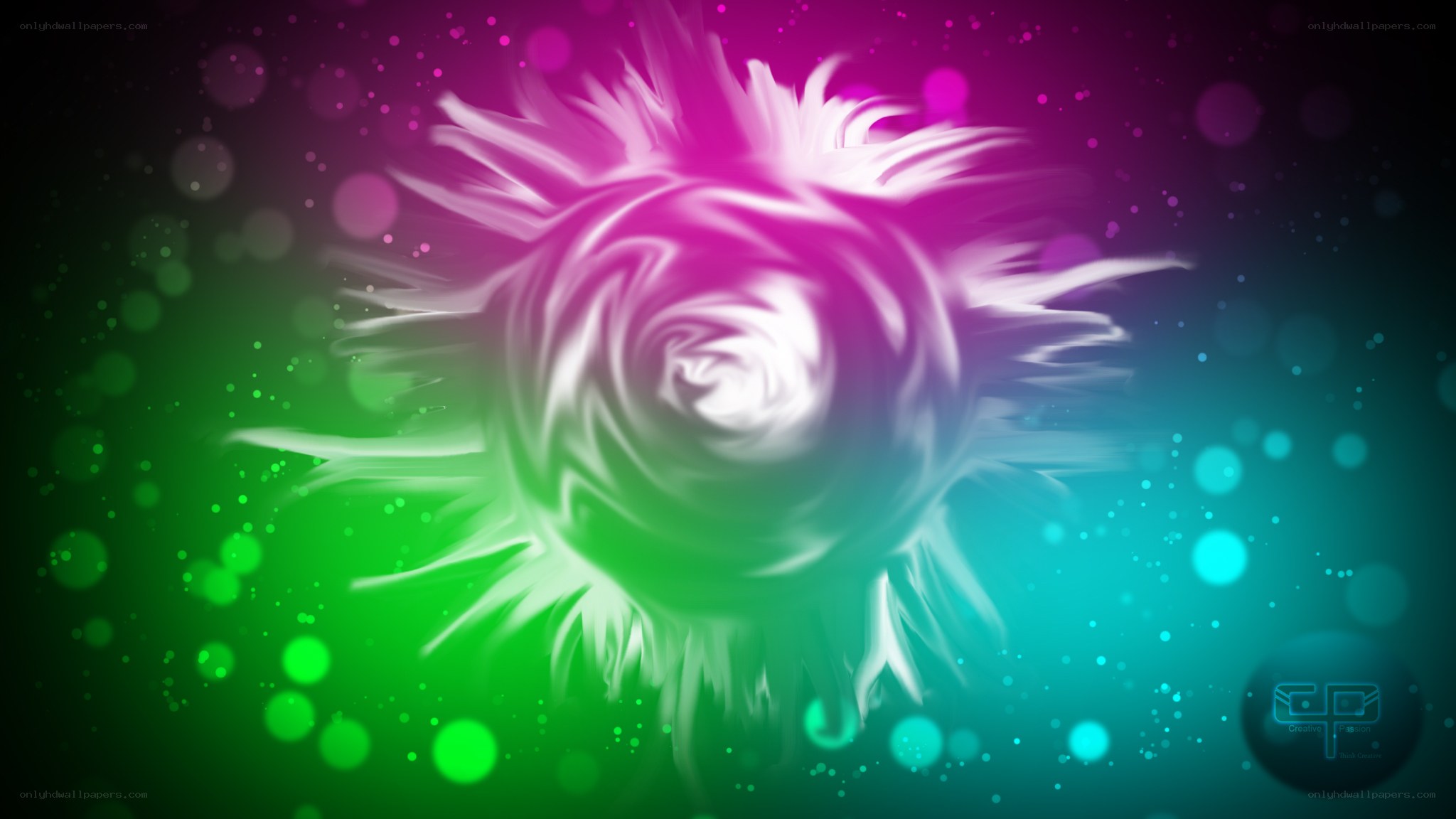 colorful abstract swirl