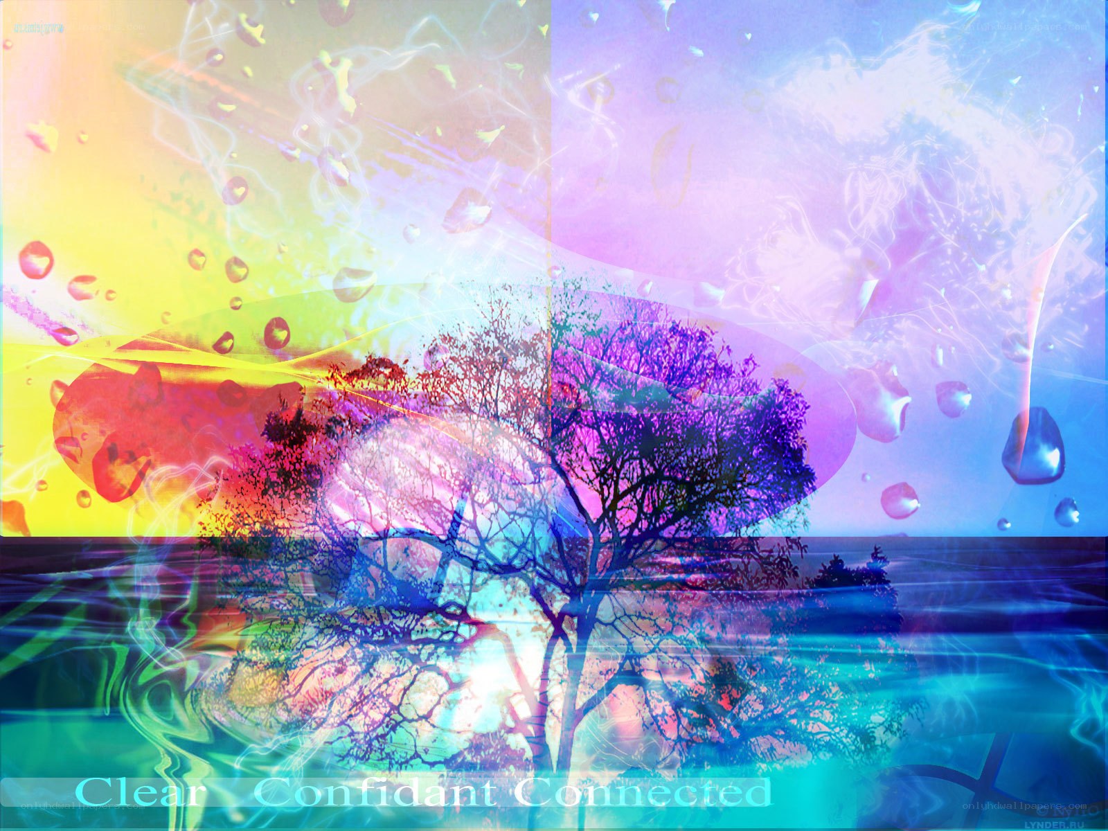 Colorful abstract tree reflection