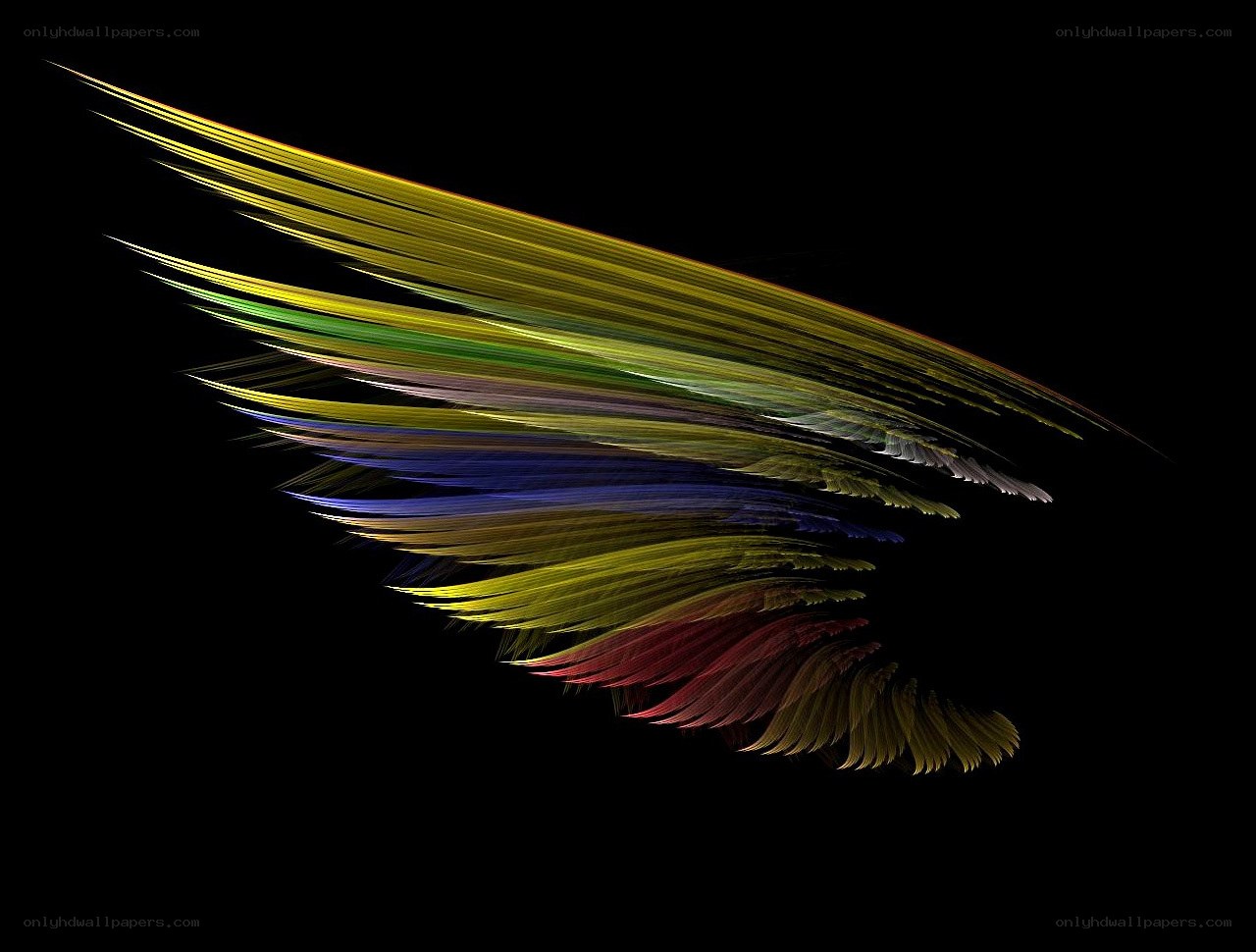 Colorful abstract wing design