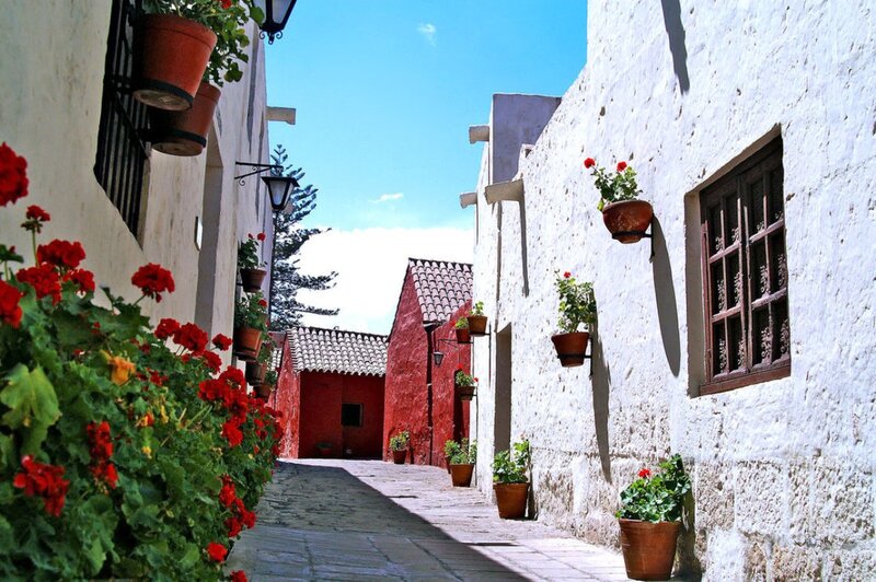 Colorful Alleyway with Flowers