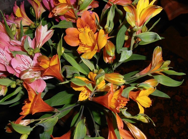 Colorful alstroemeria bouquet