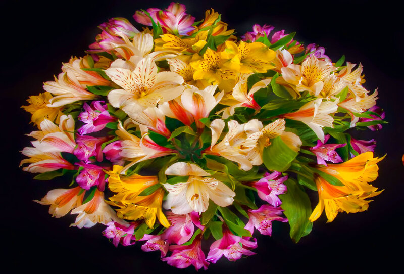 Colorful Alstroemeria Bouquet — Yellow
