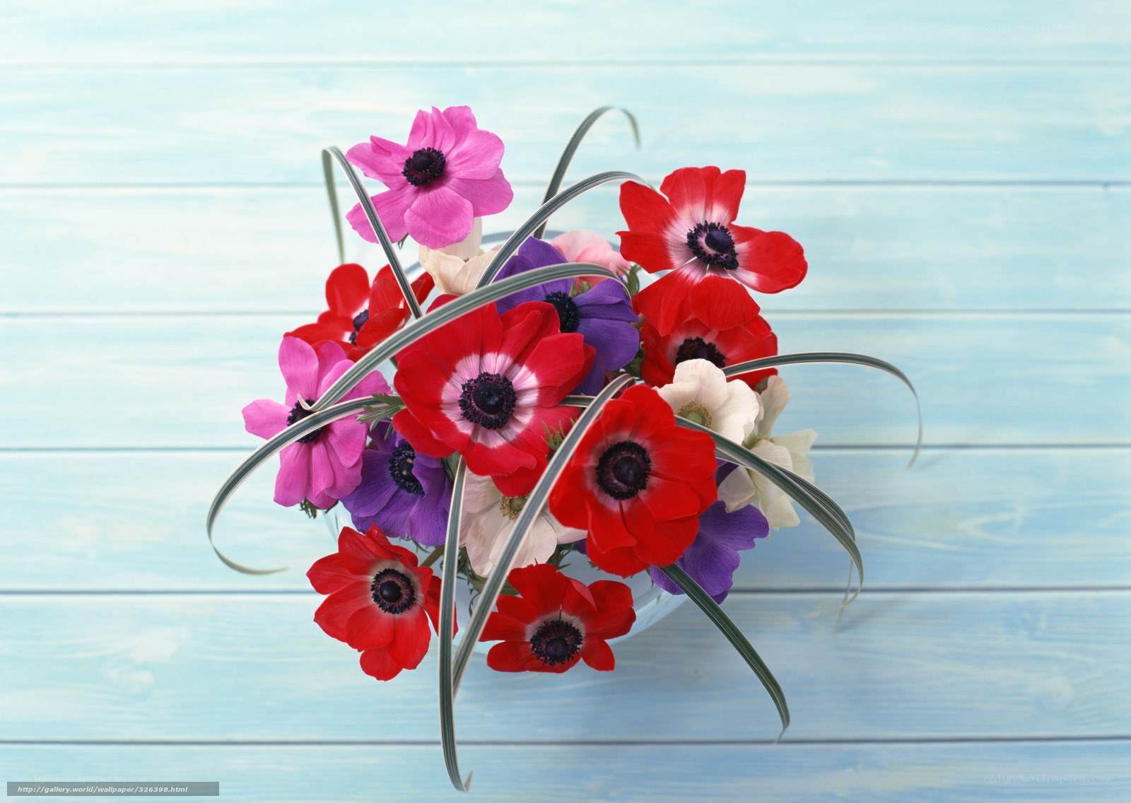 Colorful anemone bouquet