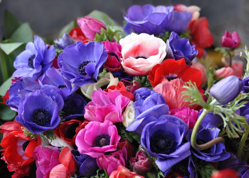 Colorful anemone flower bouquet