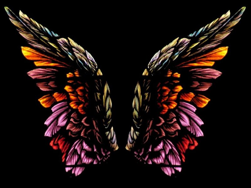 colorful angel wings
