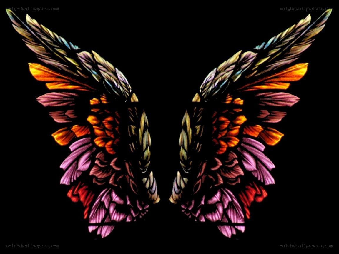 colorful angel wings