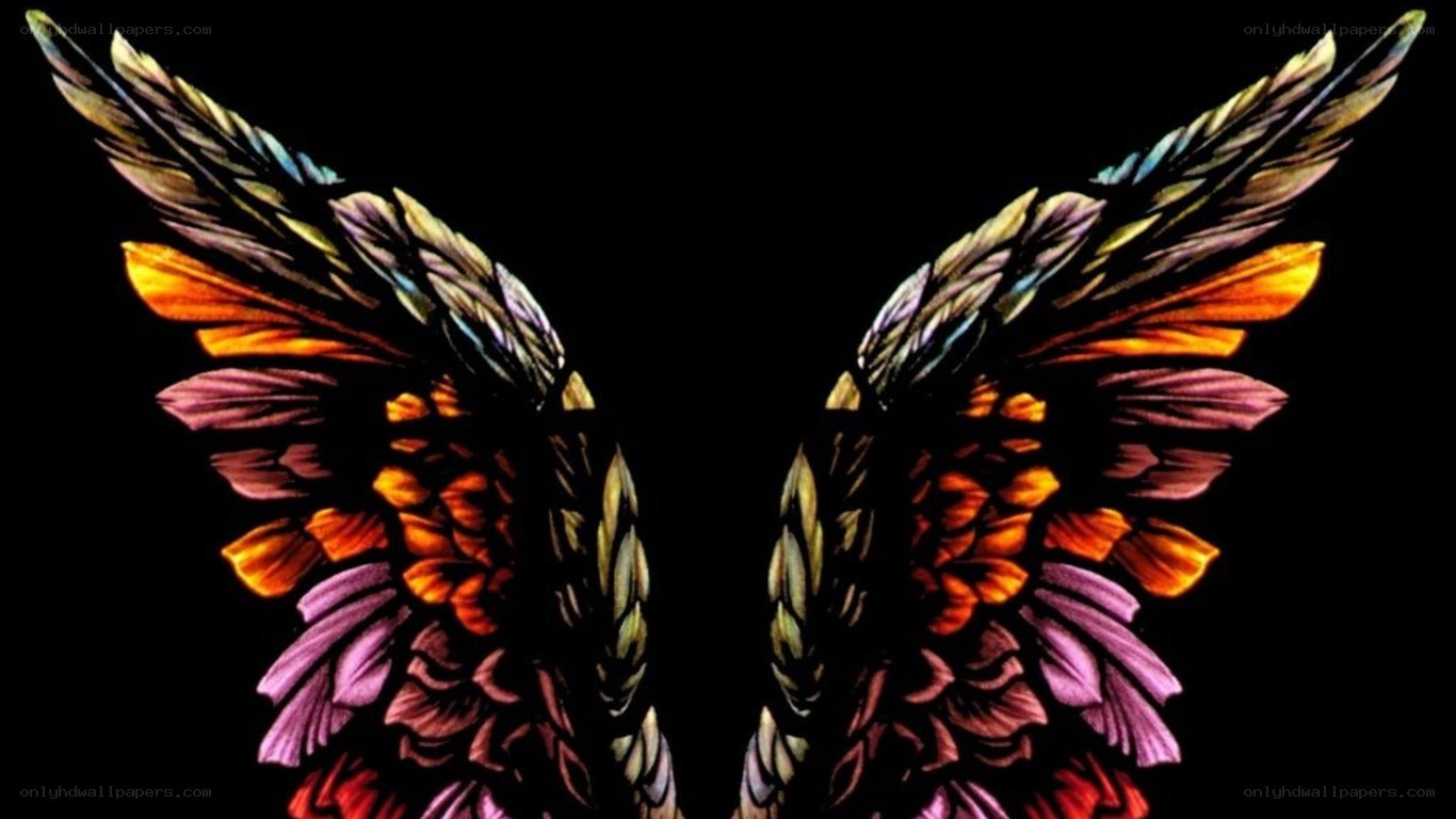 colorful angel wings art