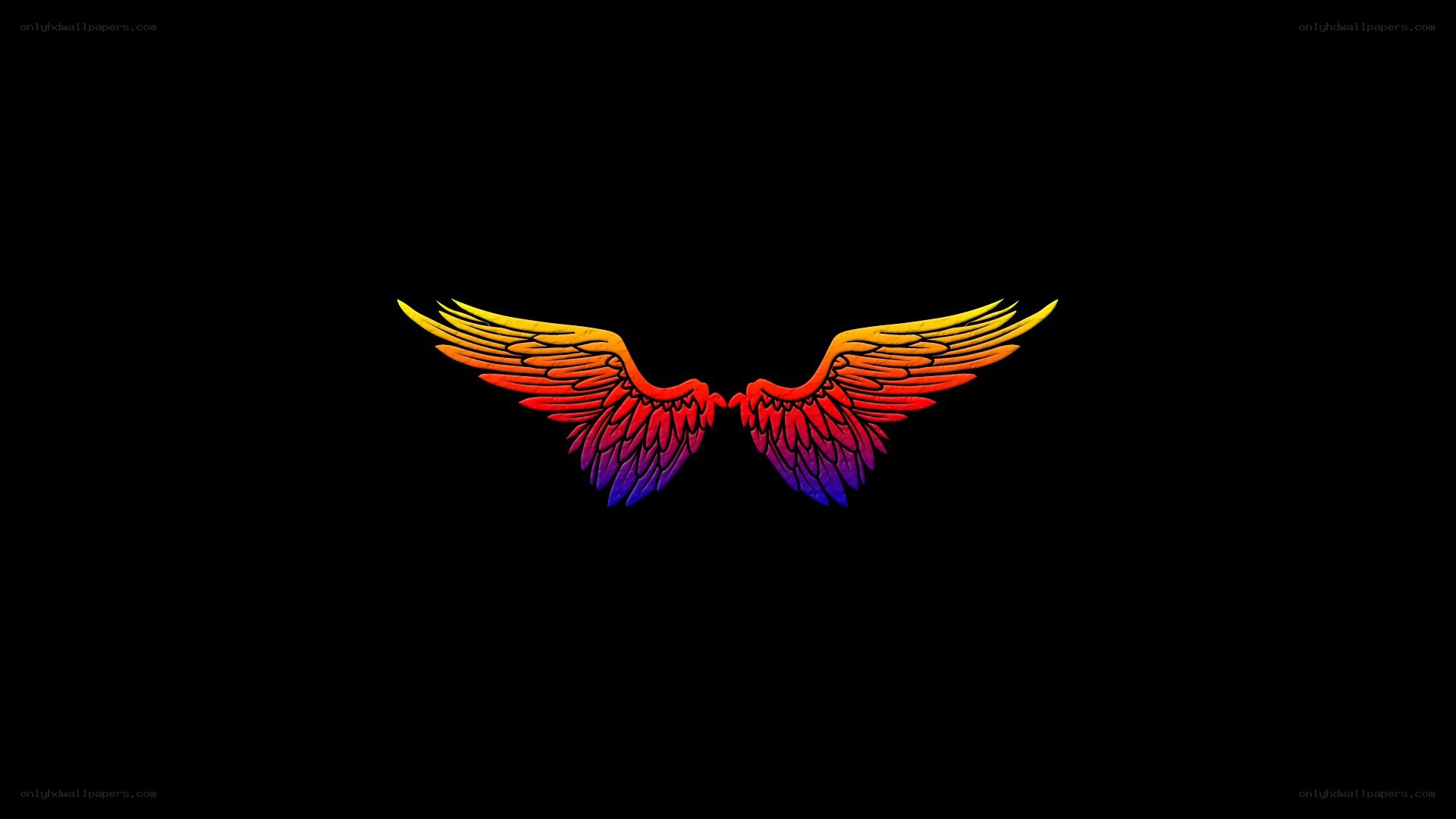 colorful angel wings