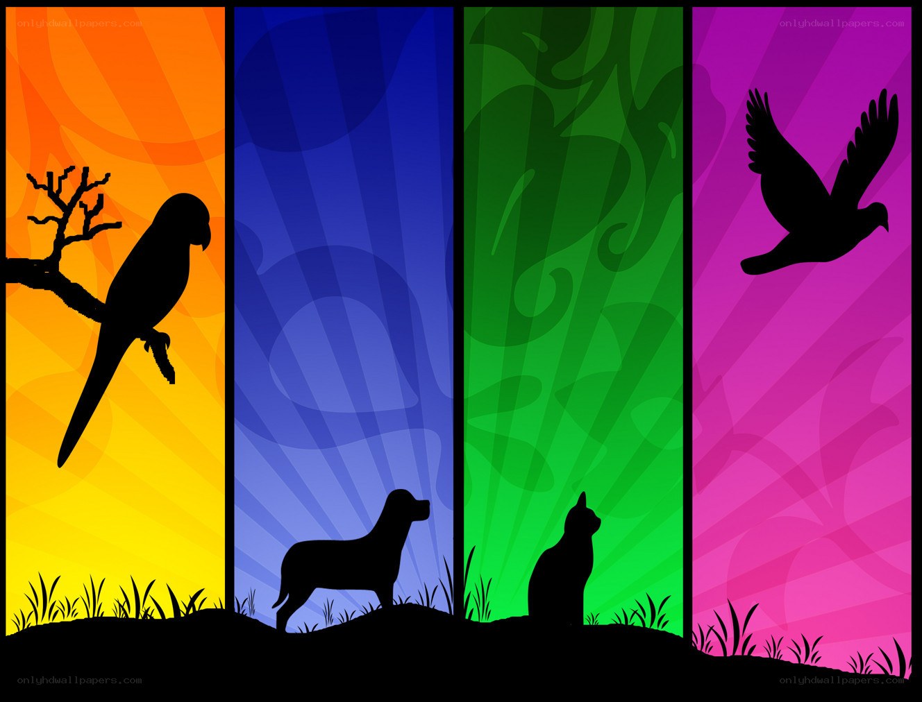 colorful animal silhouettes